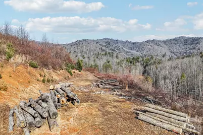 00000 Shelton Laurel Road, Clyde, NC 28721 - Photo 12
