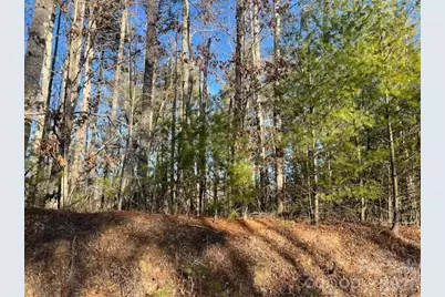 0000 Shelton Laurel Road, Clyde, NC 28721 - Photo 6