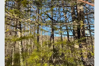 0000 Shelton Laurel Road, Clyde, NC 28721 - Photo 1