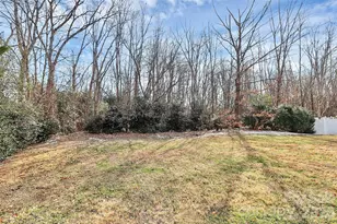 10722 Camden Meadow Dr, Charlotte, NC 28273 - Photo 40