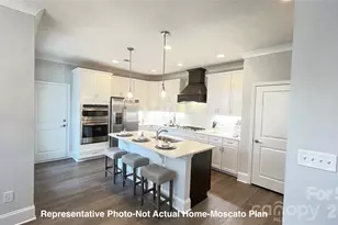 10213 Rainier Trail Dr NW, Huntersville, NC 28078 - Photo 10