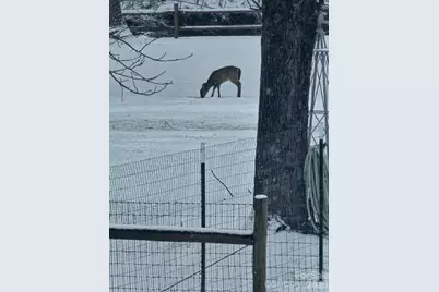 1292 Creekwood Drive, Morganton, NC 28655 - Photo 26