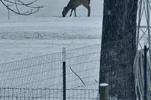 1292 Creekwood Dr, Morganton, NC 28655 - Photo 26