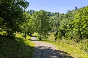 64 Hobson Br Rd, Weaverville, NC 28787 - Photo 28