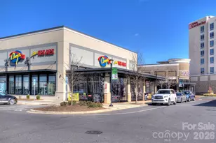 5862 Ardrey Kell Rd, Charlotte, NC 28277 - Photo 38