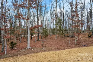 919 Tamary Way, Landis, NC 28088 - Photo 10