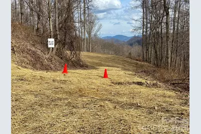 (Ne Lot) Meadow Fork Road, Hot Springs, NC 28743 - Photo 4