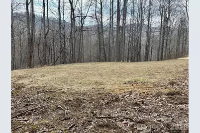 (Ne Lot) Meadow Fork Road, Hot Springs, NC 28743 - Photo 8