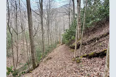 (Ne Lot) Meadow Fork Road, Hot Springs, NC 28743 - Photo 6