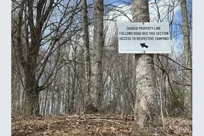 (North Lot) Meadow Fork Road, Hot Springs, NC 28743 - Photo 18