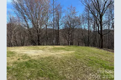 (North Lot) Meadow Fork Road, Hot Springs, NC 28743 - Photo 30