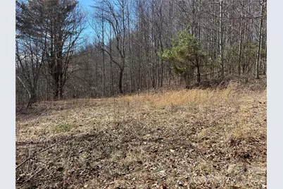 (North Lot) Meadow Fork Road, Hot Springs, NC 28743 - Photo 22