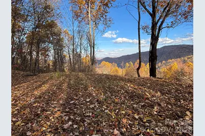 (North Lot) Meadow Fork Road, Hot Springs, NC 28743 - Photo 1