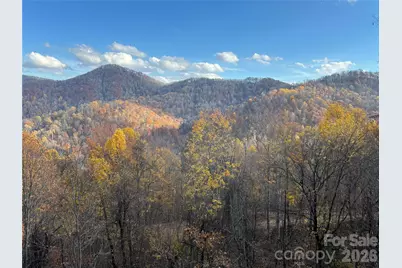 (North Lot) Meadow Fork Road, Hot Springs, NC 28743 - Photo 4