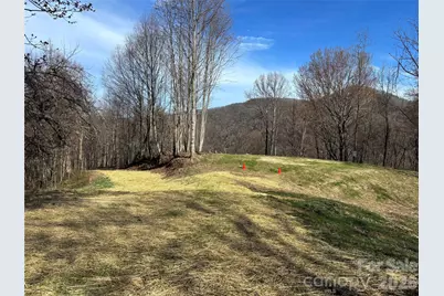 (North Lot) Meadow Fork Road, Hot Springs, NC 28743 - Photo 6