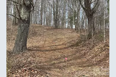 (North Lot) Meadow Fork Road, Hot Springs, NC 28743 - Photo 20