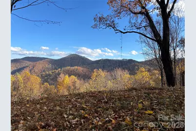 (North Lot) Meadow Fork Road, Hot Springs, NC 28743 - Photo 16