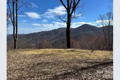(North Lot) Meadow Fork Road, Hot Springs, NC 28743 - Photo 14