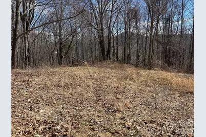 (North Lot) Meadow Fork Road, Hot Springs, NC 28743 - Photo 24