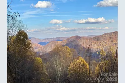 (North Lot) Meadow Fork Road, Hot Springs, NC 28743 - Photo 2