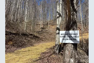 (North Lot) Meadow Fork Road, Hot Springs, NC 28743 - Photo 10