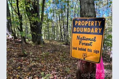 (North Lot) Meadow Fork Road, Hot Springs, NC 28743 - Photo 26