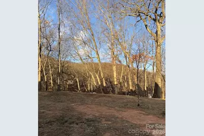 5 Loop Road, Candler, NC 28715 - Photo 16