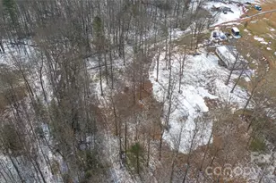 6611 Prysock Ave, Connelly Springs, NC 28612 - Photo 6