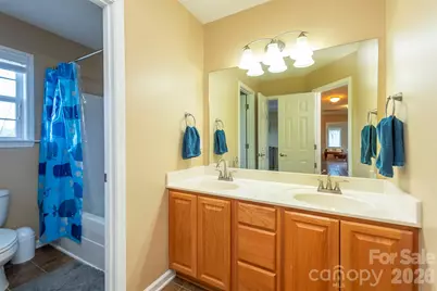 53 Stone River Drive, Asheville, NC 28804 - Photo 30