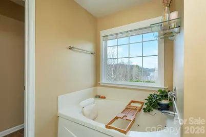 53 Stone River Drive, Asheville, NC 28804 - Photo 28