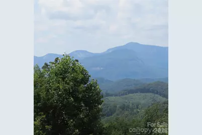 336 Willow Top Lane #336, Lake Lure, NC 28746 - Photo 2