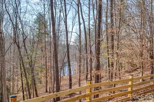 239 Old Lion Rd, Statesville, NC 28625 - Photo 30