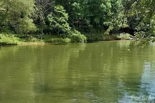 239 Old Lion Rd, Statesville, NC 28625 - Photo 42