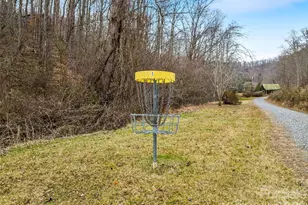 198 Brooks Branch Rd, Leicester, NC 28748 - Photo 34