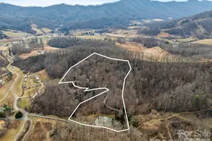 198 Brooks Branch Rd, Leicester, NC 28748 - Photo 2
