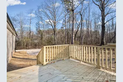 876 Tiney Road, Ellenboro, NC 28040 - Photo 8