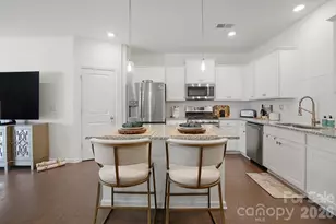 226 Harpers Run Ln, Indian Trail, NC 28104 - Photo 4