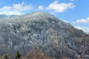 24 Hawthorn Rd, Maggie Valley, NC 28785 - Photo 4