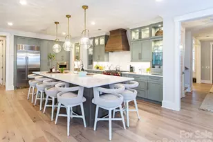 110 Willow View Loop, Davidson, NC 28036 - Photo 4