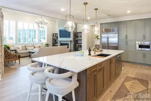 110 Willow View Loop, Davidson, NC 28036 - Photo 8