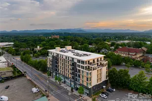 45 Asheland Ave, Asheville, NC 28801 - Photo 42
