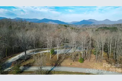 550 S River Road, Tryon, NC 28782 - Photo 1