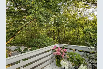 550 S River Road, Tryon, NC 28782 - Photo 38