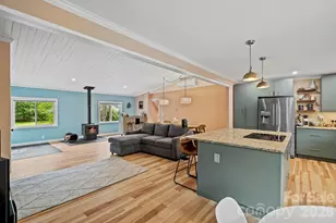 419 E Blue Ridge Rd, East Flat Rock, NC 28726 - Photo 6