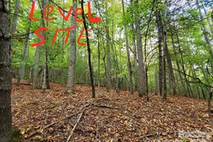 00 Hickory Wood Trail, Hendersonville, NC 28739 - Photo 1