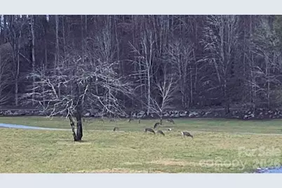 214 Davis Ridge Road, Banner Elk, NC 28604 - Photo 44