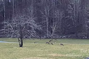 214 Davis Ridge Rd, Banner Elk, NC 28604 - Photo 44