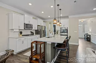 3184 Burnello Ct, Iron Station, NC 28080 - Photo 8