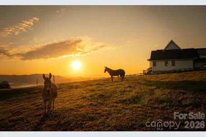 217 Sunrise Vista Lane, Banner Elk, NC 28604 - Photo 4