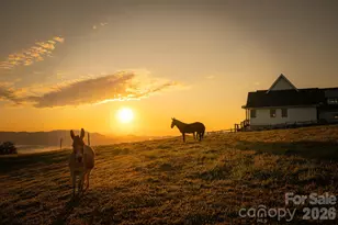 217 Sunrise Vista Ln, Banner Elk, NC 28604 - Photo 4